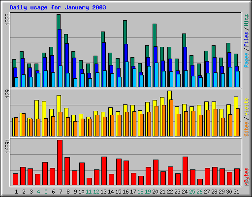 Daily usage for January 2003