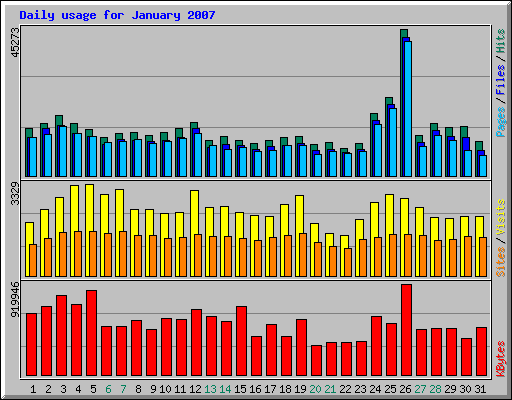 Daily usage for January 2007