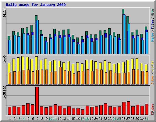 Daily usage for January 2009