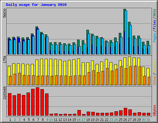 Daily usage for January 2010