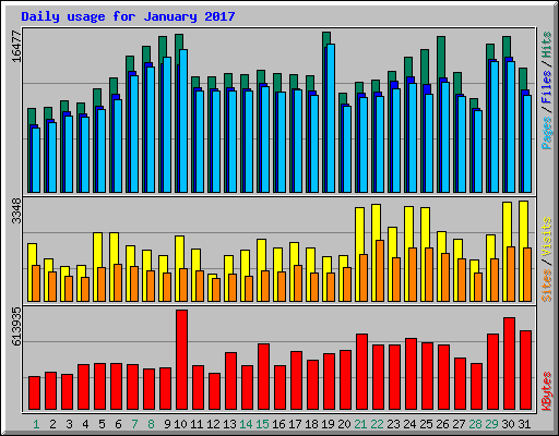 Daily usage for January 2017