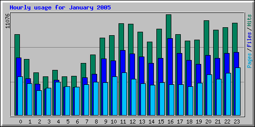 Hourly usage for January 2005