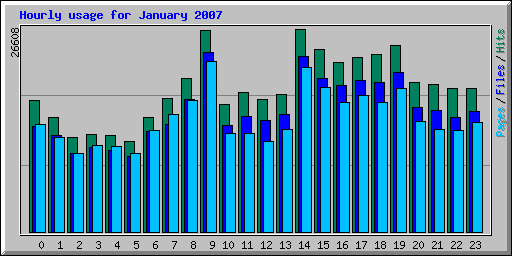 Hourly usage for January 2007