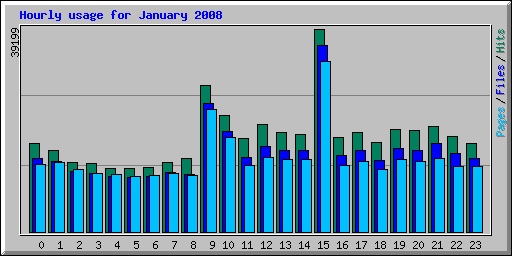 Hourly usage for January 2008