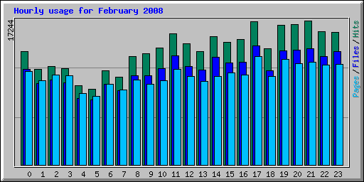 Hourly usage for February 2008