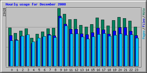 Hourly usage for December 2008