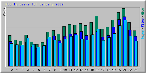 Hourly usage for January 2009