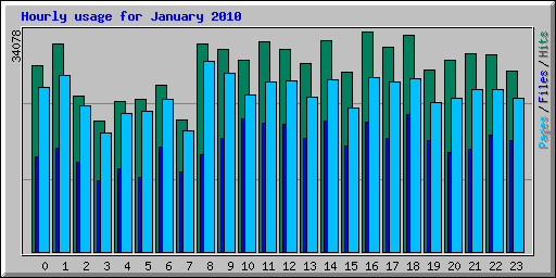 Hourly usage for January 2010