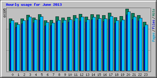 Hourly usage for June 2013