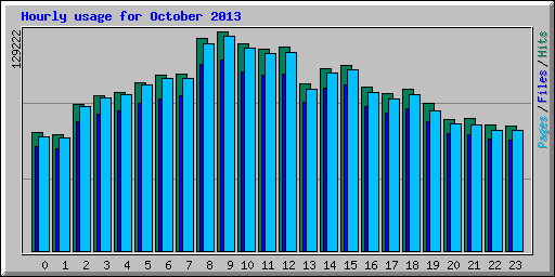 Hourly usage for October 2013