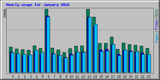 Hourly usage for January 2016