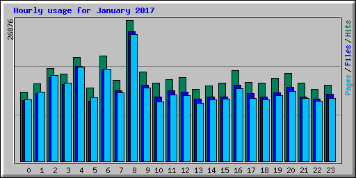 Hourly usage for January 2017