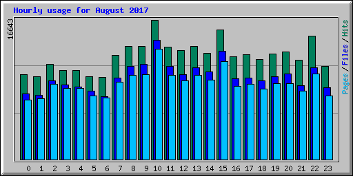 Hourly usage for August 2017