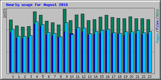 Hourly usage for August 2018